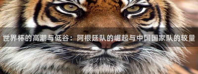 澳门世界杯直播：世界杯的高潮与低谷：阿根廷队的崛起与中国国家队的较量
