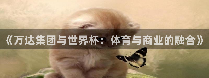 2026年世界杯赛程：《万达集团与世界杯：体育与商业的融合》