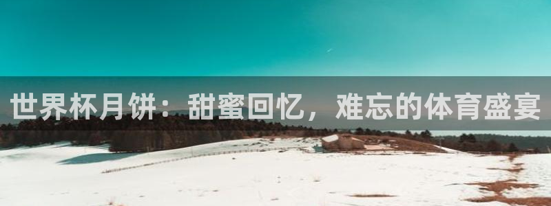 2026世界杯欧洲预选赛赛程表：世界杯月饼：甜蜜回忆，难忘的体育盛宴