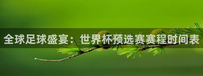 足球世界杯2026：全球足球盛宴：世界杯预选赛赛程时间表
