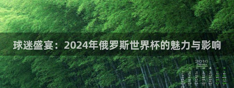 世界杯预选赛2026：球迷盛宴：2024年俄罗斯世界杯的魅力与影响