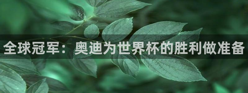2026世界杯南美区积分榜：全球冠军：奥迪为世界杯的胜利做准备