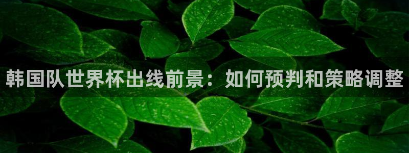 世界杯今日赛程直播：韩国队世界杯出线前景：如何预判和策略调整