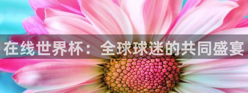 世预赛直播：在线世界杯：全球球迷的共同盛宴