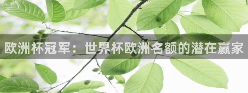 世界杯直播高清：欧洲杯冠军：世界杯欧洲名额的潜在赢家