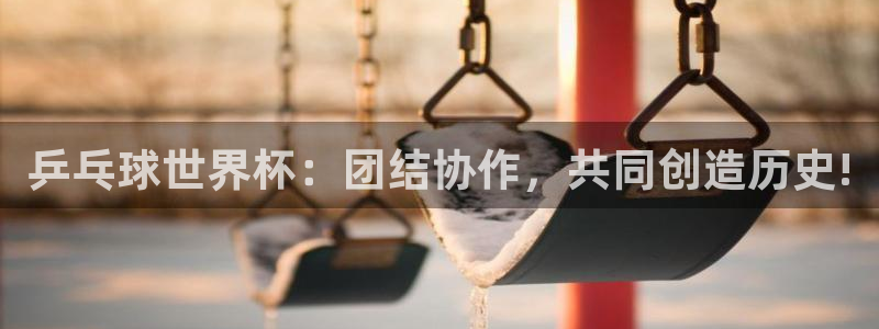 世界杯今年：乒乓球世界杯：团结协作，共同创造历史!
