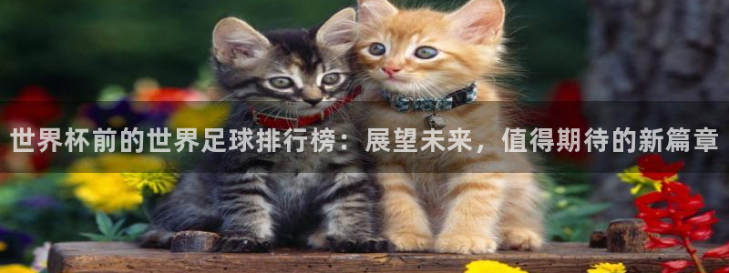 世界杯预赛赛程：世界杯前的世界足球排行榜：展望未来，值得期待的新篇章