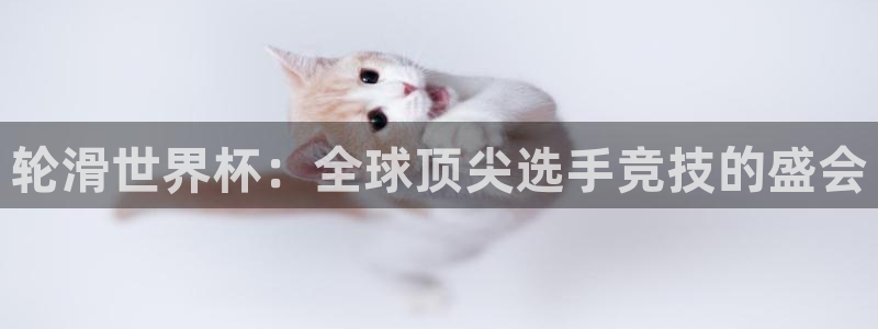 世界杯系列赛：轮滑世界杯：全球顶尖选手竞技的盛会