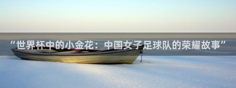 世界杯亚洲区预选赛赛程：“世界杯中的小金花：中国女子足球队的荣耀故事”