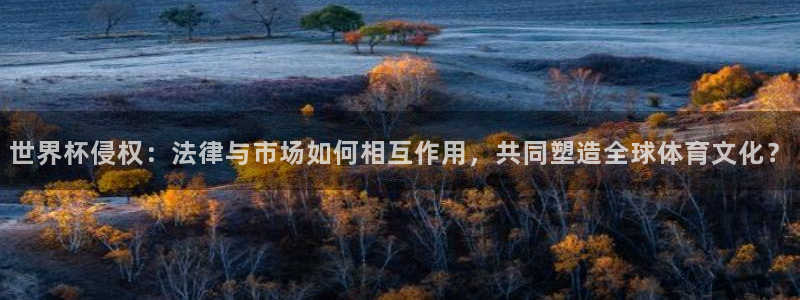 足球比分直播世界杯：世界杯侵权：法律与市场如何相互作用，共同塑造全球体育文化？