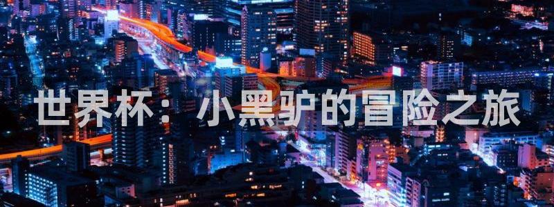 2026世界杯德国队阵容：世界杯：小黑驴的冒险之旅